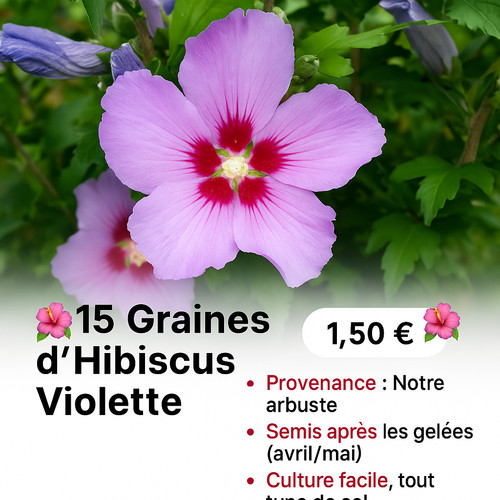 Graines - 🌺15,