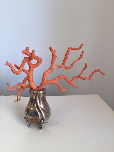 Grosse branche corail de - grosse,