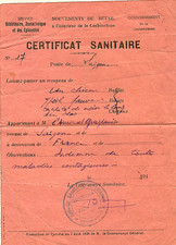 Chien Certificat sanitaire