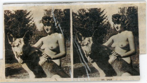 Photo photograph stereo - photograph, view