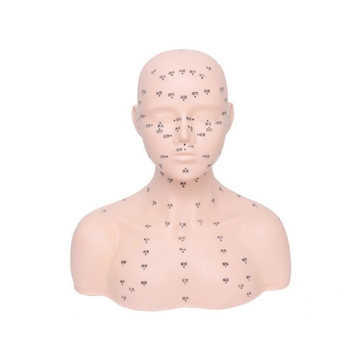 Mannequin massage facial - mannequin,