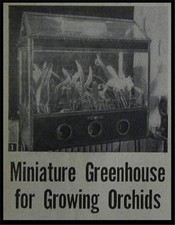 Grow Orchids at Home Terrarium Wardian Case HowTo build PLANS