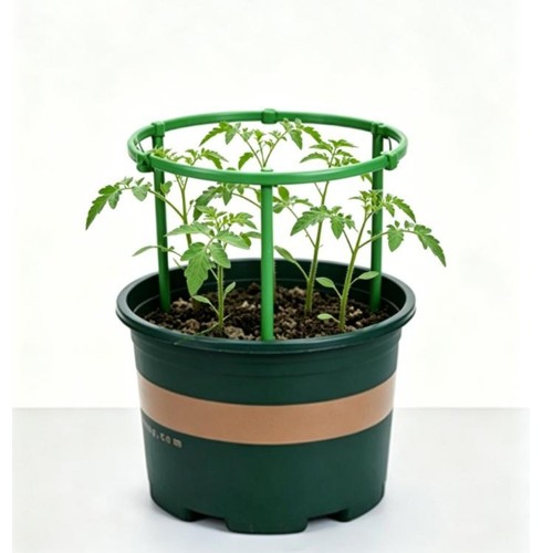 Pour tomates pot - pot, cage