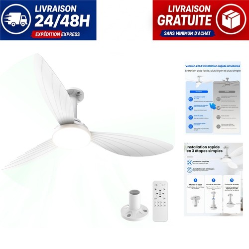 Ventilateur plafond - ventilateur,