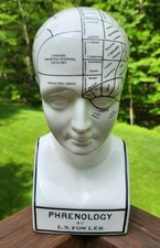 Royale Stratford Phrenology Head Bust Fortune Telling Medical Statue Porcelain