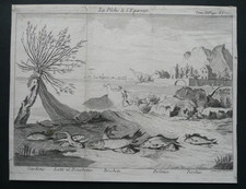 Gravure XVIIIe S. Pêche à