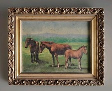 Belle Peinture Chevaux Etalon