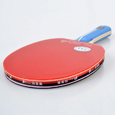 PALIO 2 Star Table Tennis Racket CJ8000 Rubber Ping Pong Paddle + Bag