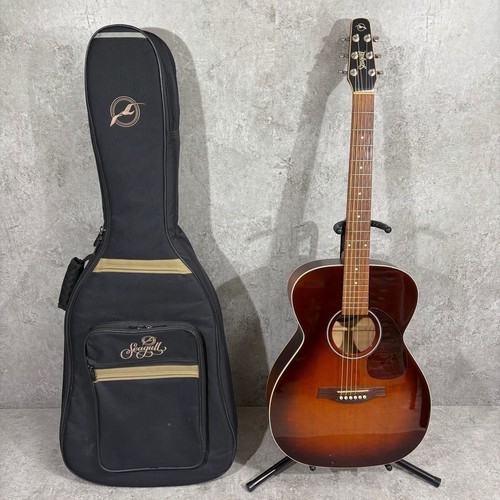 Guitare électrique acoustique