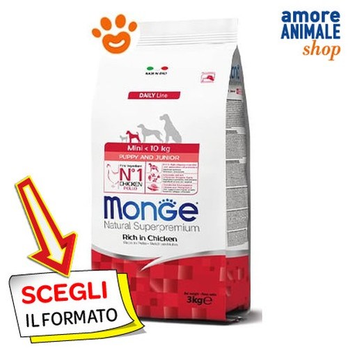 Monge chien naturel - chien,