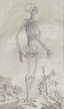 Grand squelette en paysage