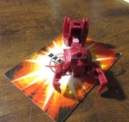 Pyrus bakugan brachium part - brachium, of