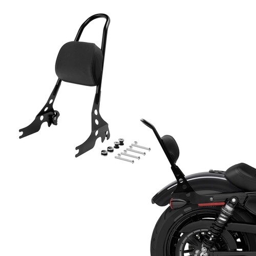 Detachable passenger sissy - passenger,