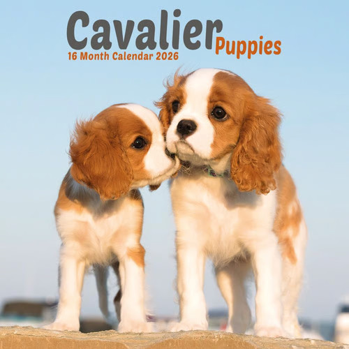 Carousel calendars cavalier - carousel, calendars,