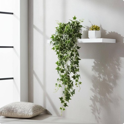 Lierre artificiel sans - lierre,