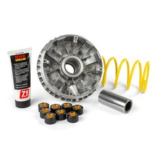 MF1694 - Variateur Malossi