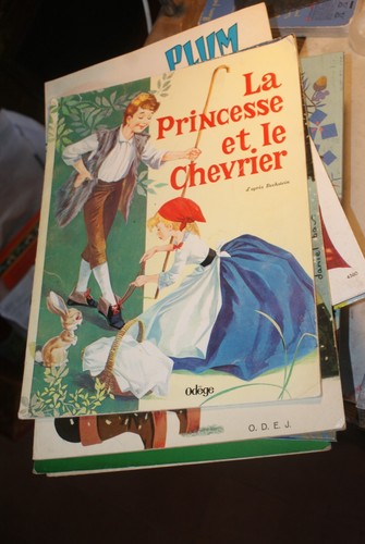 Princesse chevrier - princesse, le