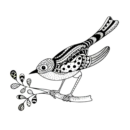 Tampon transparent oiseau - oiseau, pose