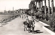 06 CANNES JARDIN ET LE SUQUET