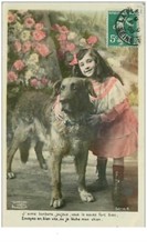 DOGS.n°4432.YOUNG PUPPIES OF ST BERNARD