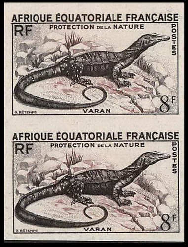 90977b afrique équatoriale
