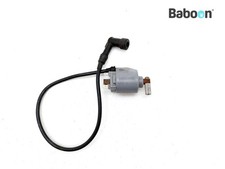 Bobine Ducati 650 Indiana