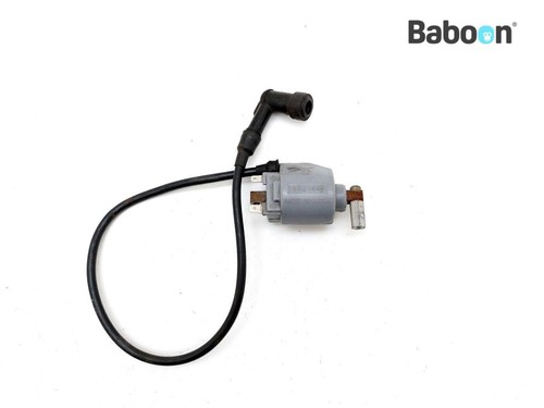 Bobine ducati 650 indiana - ducati,
