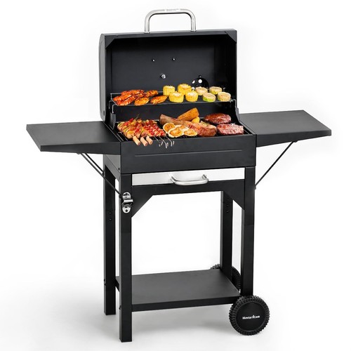 Master cook charcoal - charcoal, grill,332