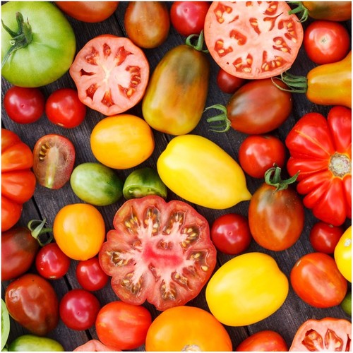 Kit graines tomates 20 - de,
