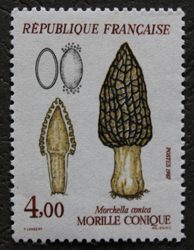 Timbre france morille - -,