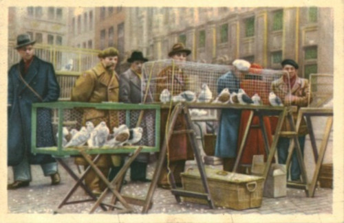Image ancienne chromo - , chocolat