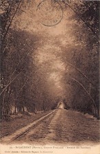 Guyana - SAINT-LAURENT du MARONI - Avenue des Bambous - Ed. Cliché Jeannin - Ed.