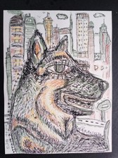 Dessin Chien Berger Allemand