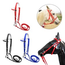 Bride de cheval avec harnais