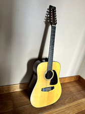 Guitare acoustique 12 cordes