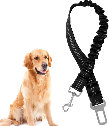 Ceinture chien voiture 1 - ceinture, voiture,
