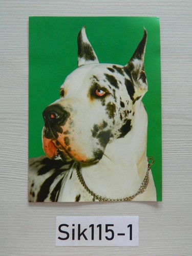 Cmx 15cm chien dogue - cmx,