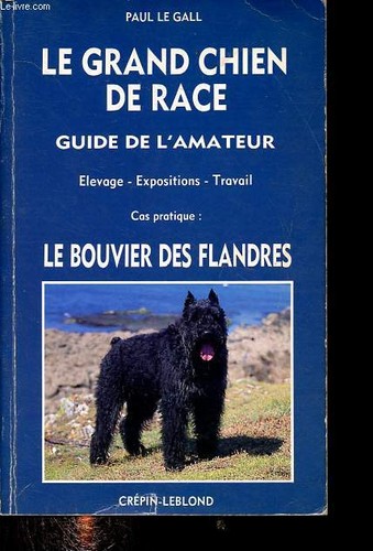 Bouvier des flandres - le,