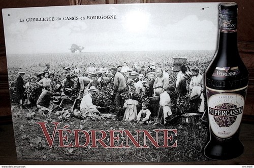 Nuits georges cassis - nuits,