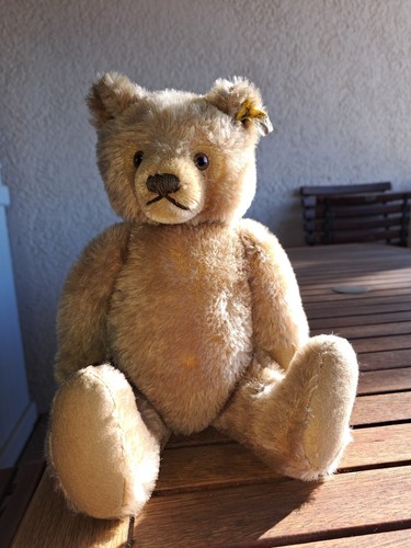 Ours peluche ancien - ours,