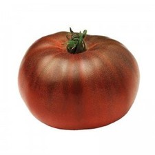 25 Graines de Tomate Noire de