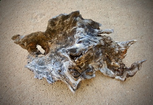 Natural driftwood terrarium - natural,