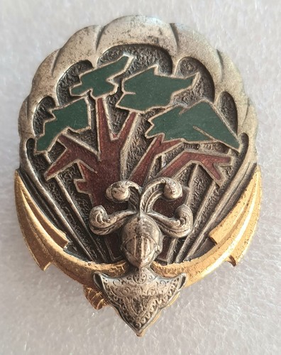 Insigne 1er riaom - riaom, régiment