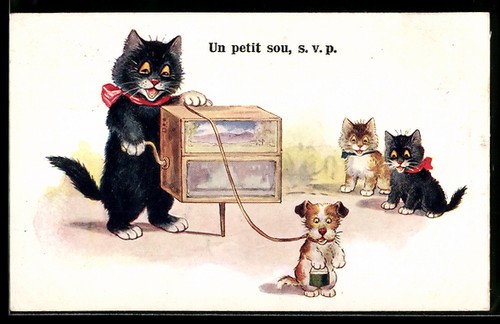 Carte postale chat avec boîte