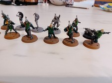 Blood Bowl Dark Elf Team Naggaroth Nightmares Games Workshop