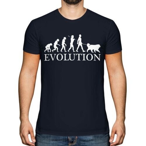 Bouvier bernois evolution - bernois, de