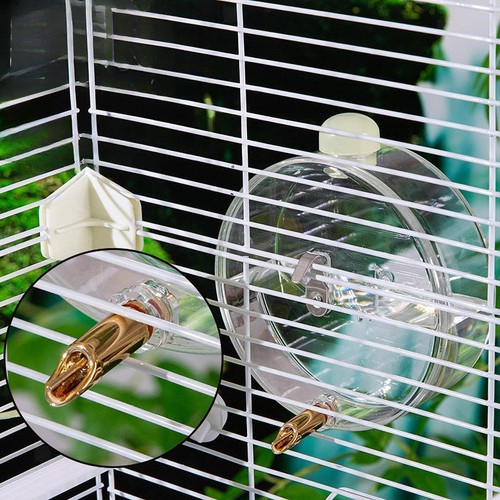 Mangeoire eau pour - pour, oiseaux