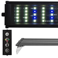 Beamswork DA 6500K LED