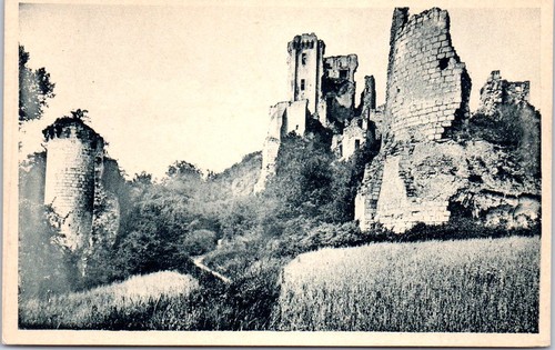 Lavardin ruines du - 41,