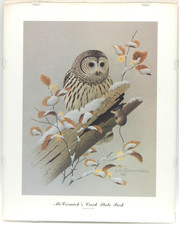 Barred Owl Mc Cormick's Creek State Park IN 1985 WM Zimmerman Print